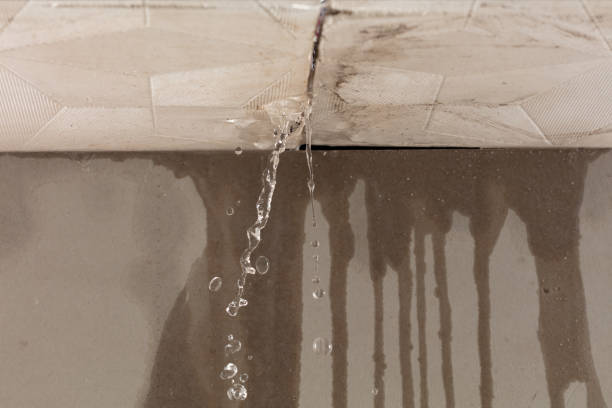 Professional Flood Damage Cleanup technician working in Elkview, WV